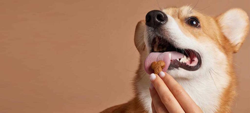 Thương hiệu Pet food Farmina N&D