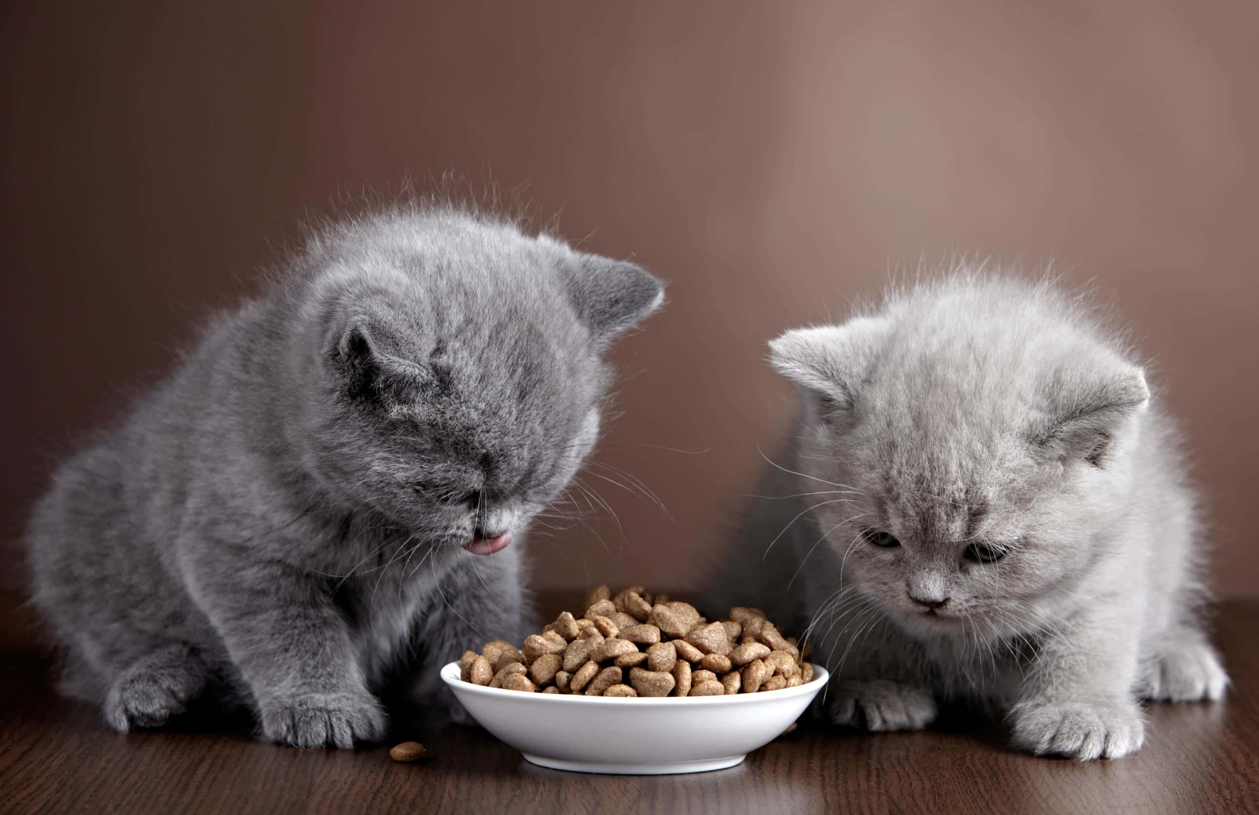Thương hiệu Pet food Magnusson Petfood AB