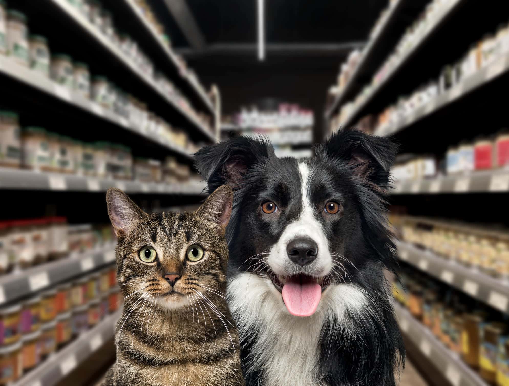 Thương hiệu Pet food Orijen